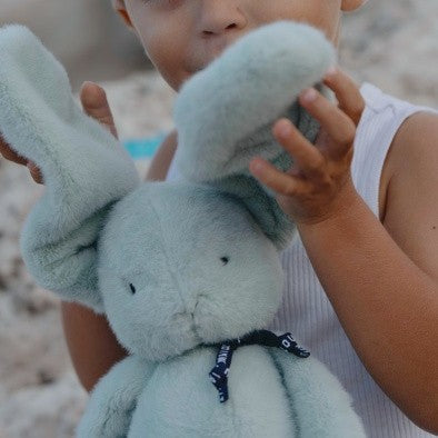Méloé Rabbit