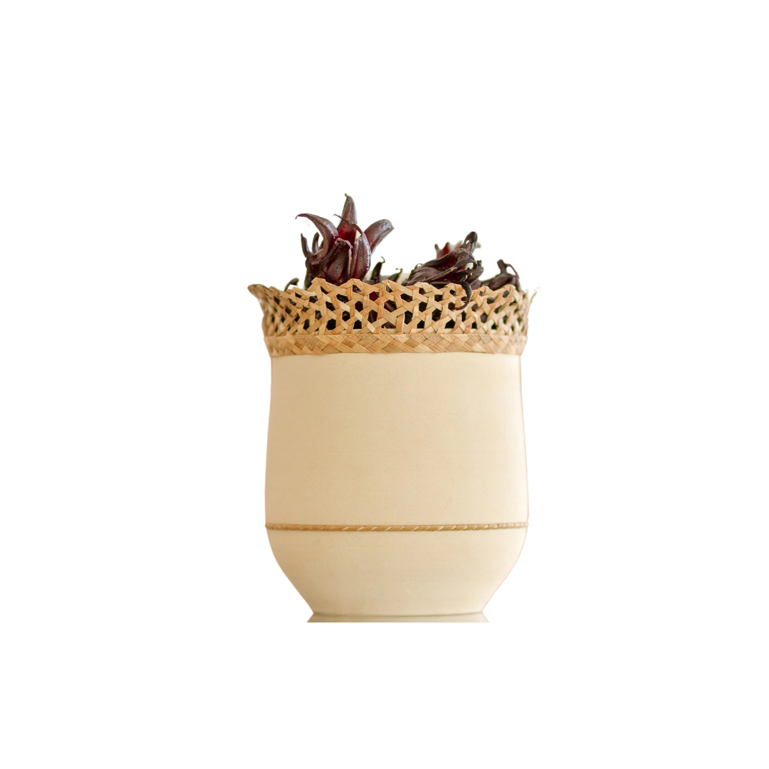 Coupe Lenita
