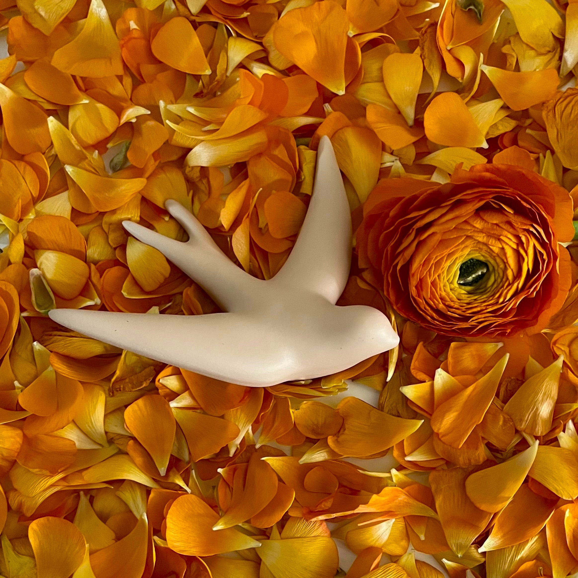 Volage wall decoration