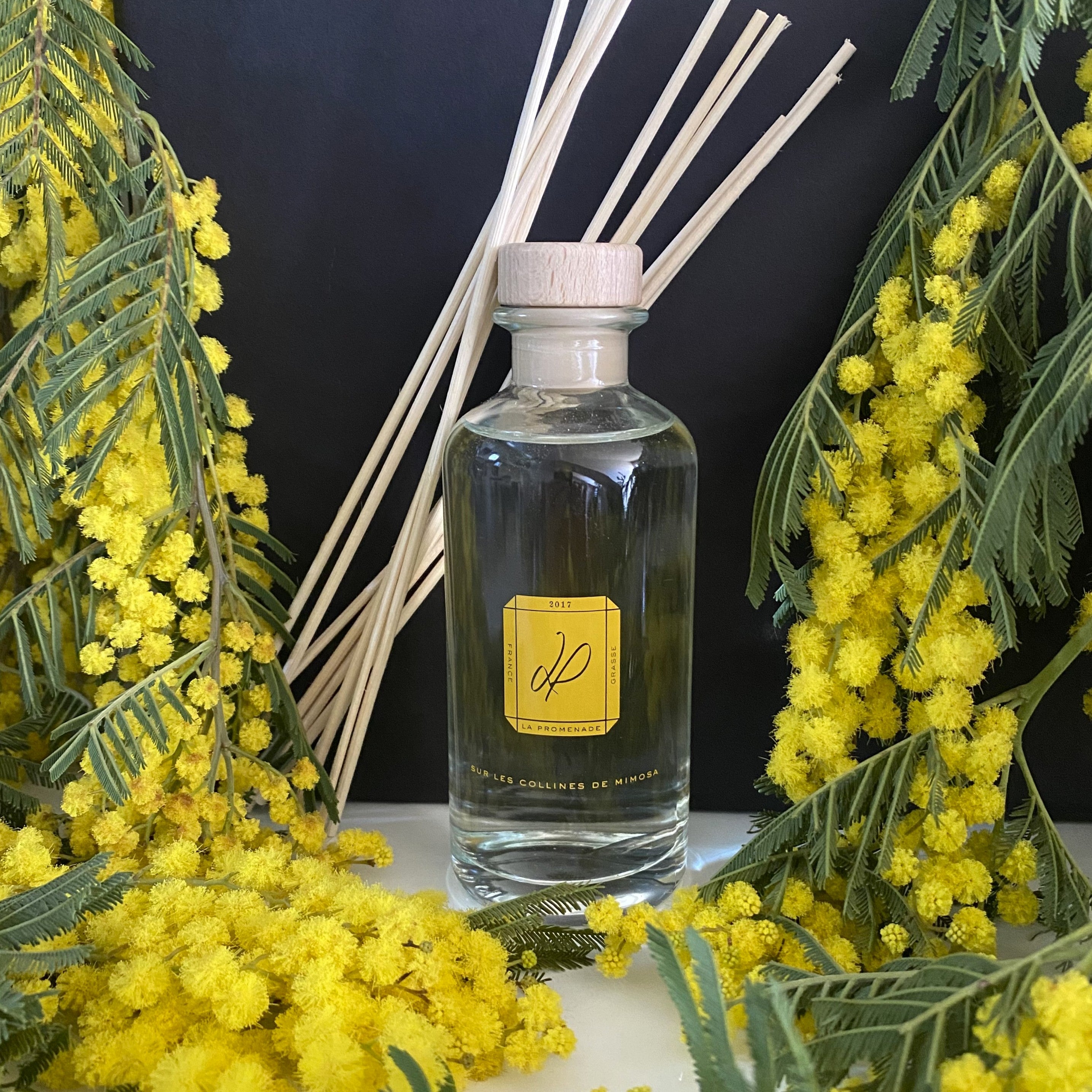 Diffuseur La Promenade "Sur les collines de Mimosa"