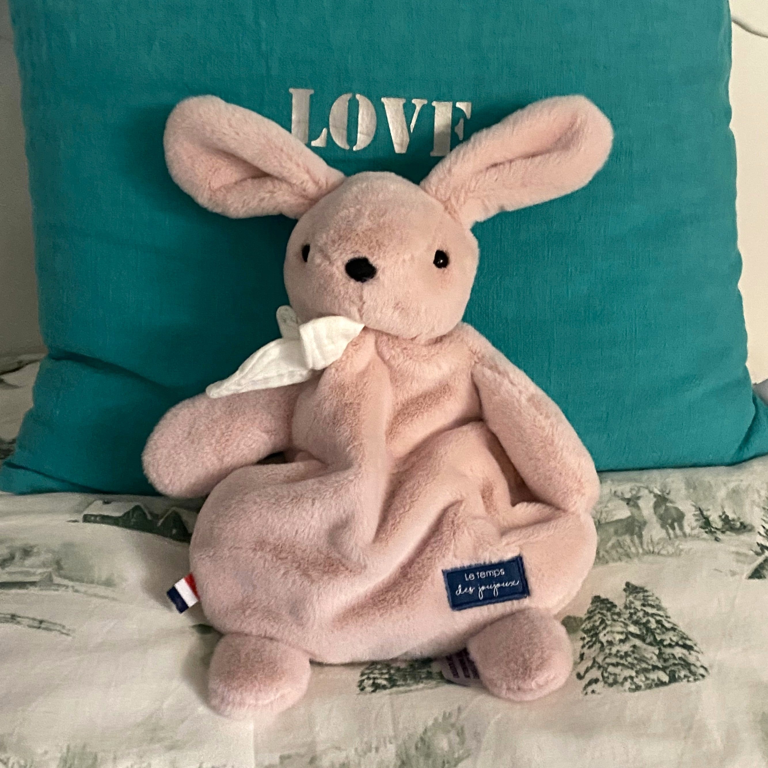 the Pink rabbit hot pouch