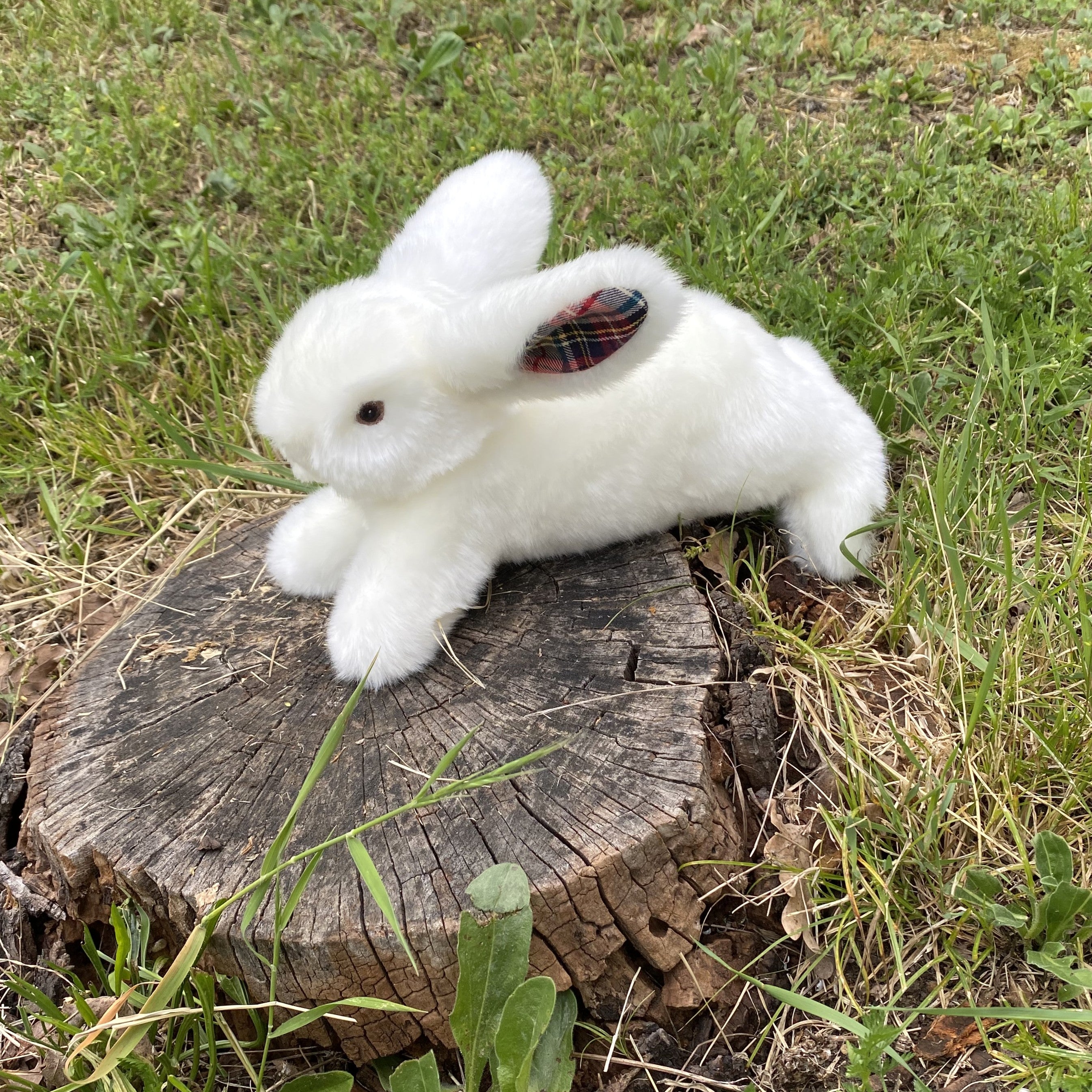 PELUCHE LAPIN MADE IN FRANCE PAMPLEMOUSSE