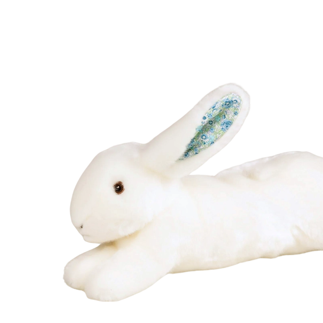 Arthus the Rabbit