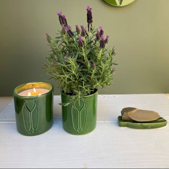 Bougie Parfumée Vert Provence