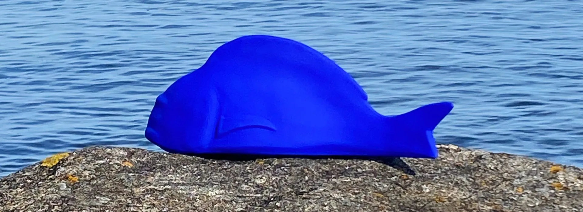poisson made in France