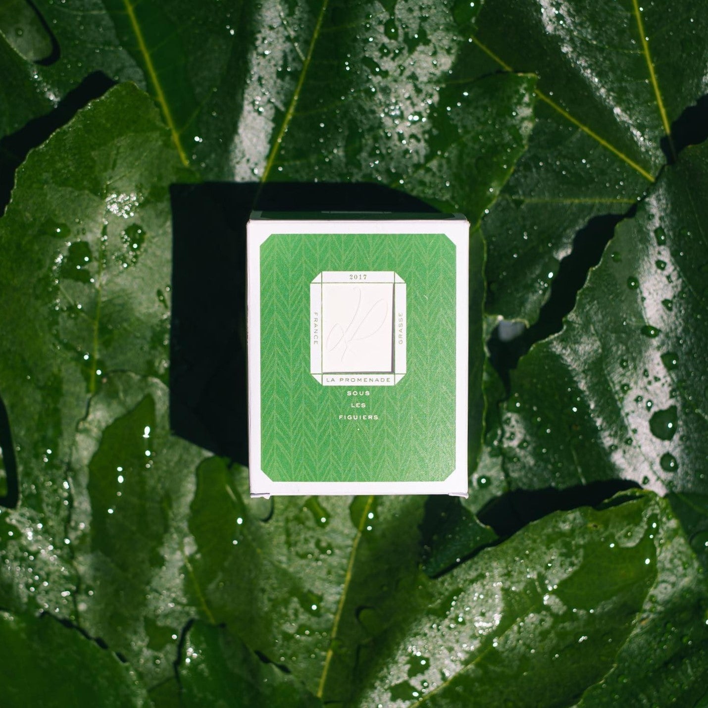 Scented candle La Promenade ""under the fig trees"