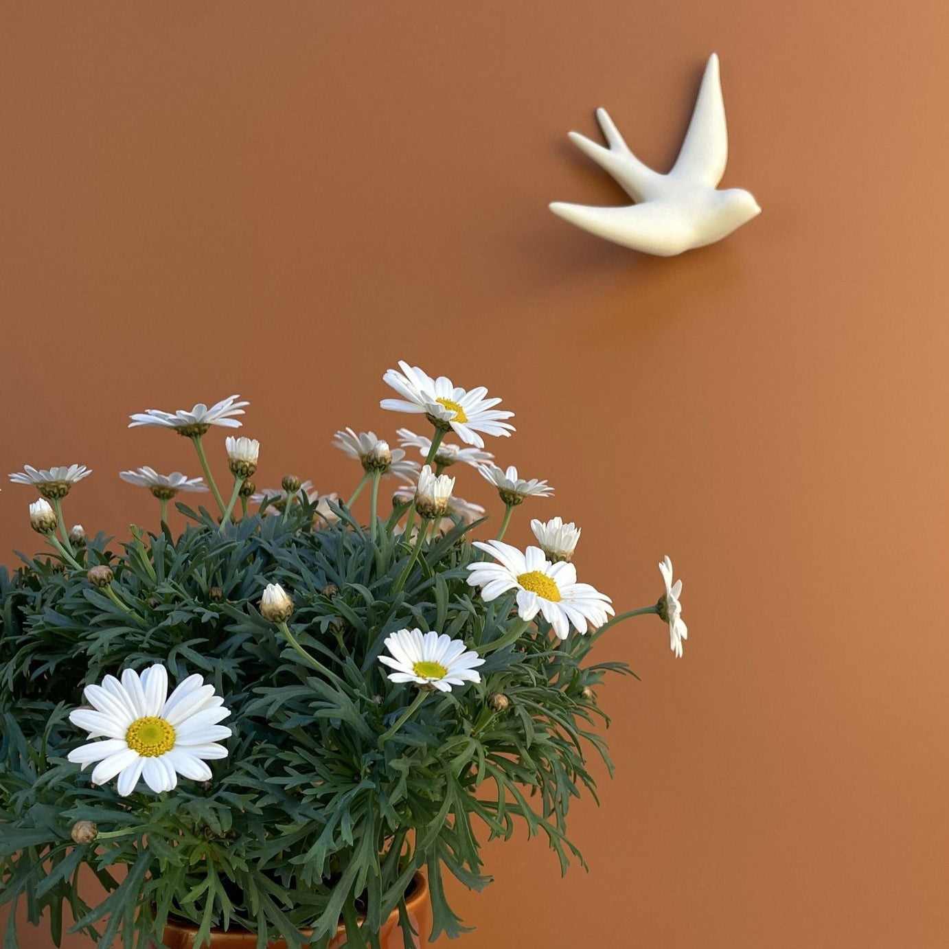 Volage wall decoration