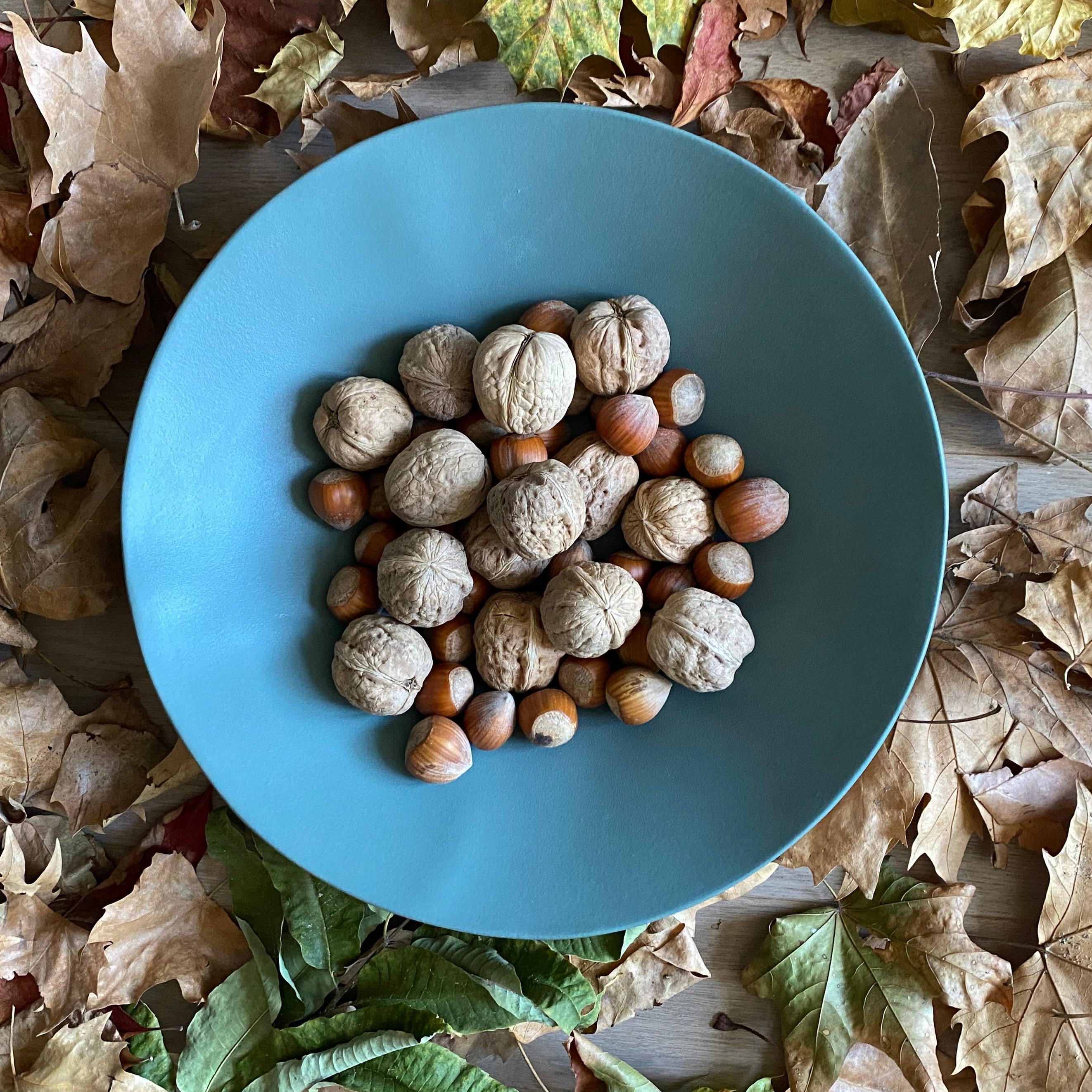 XL Cup Jardin de Maguelone