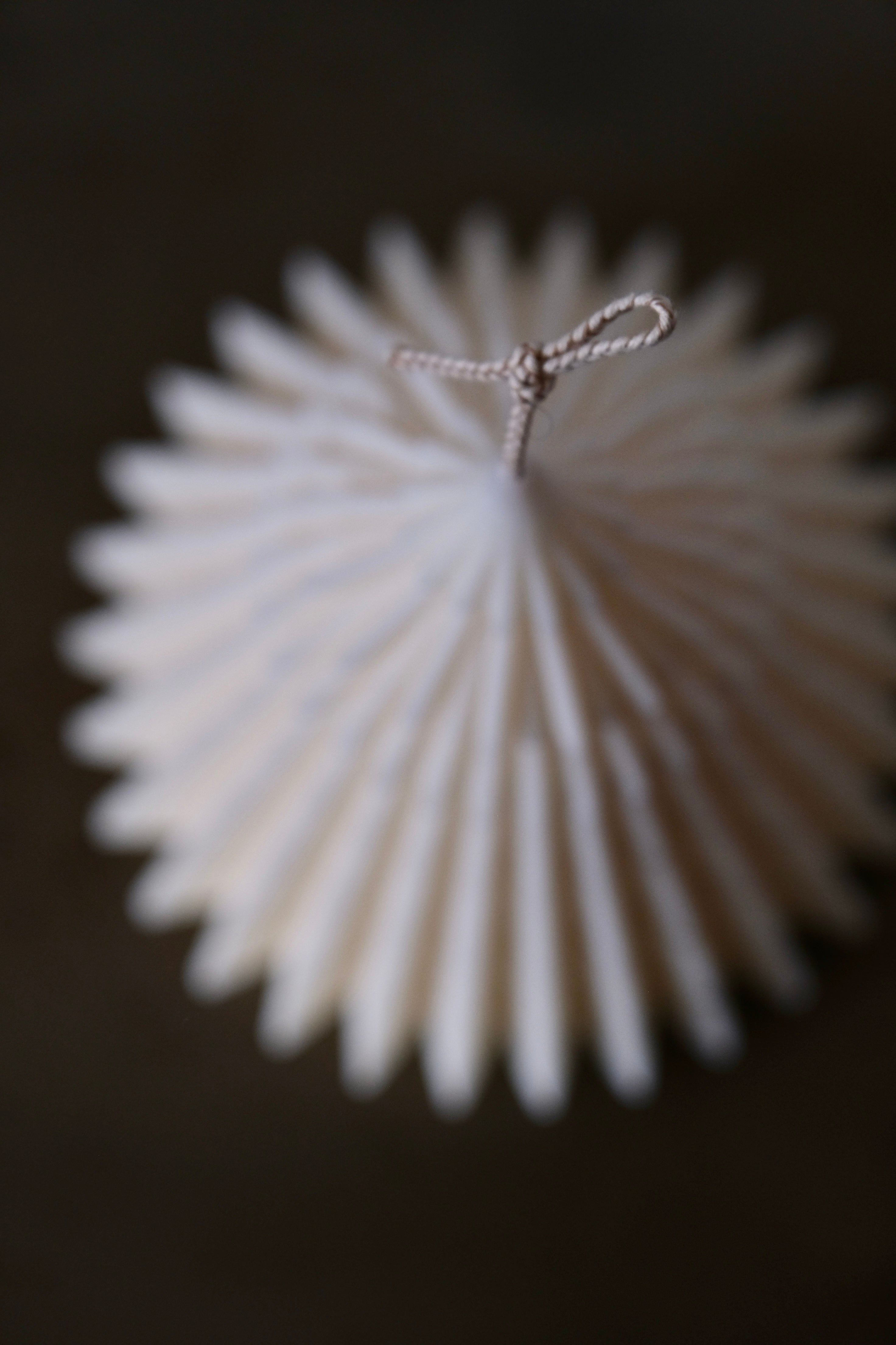 Bougie sapin Alba, FLASHLIFE, made in France et écoresponsable