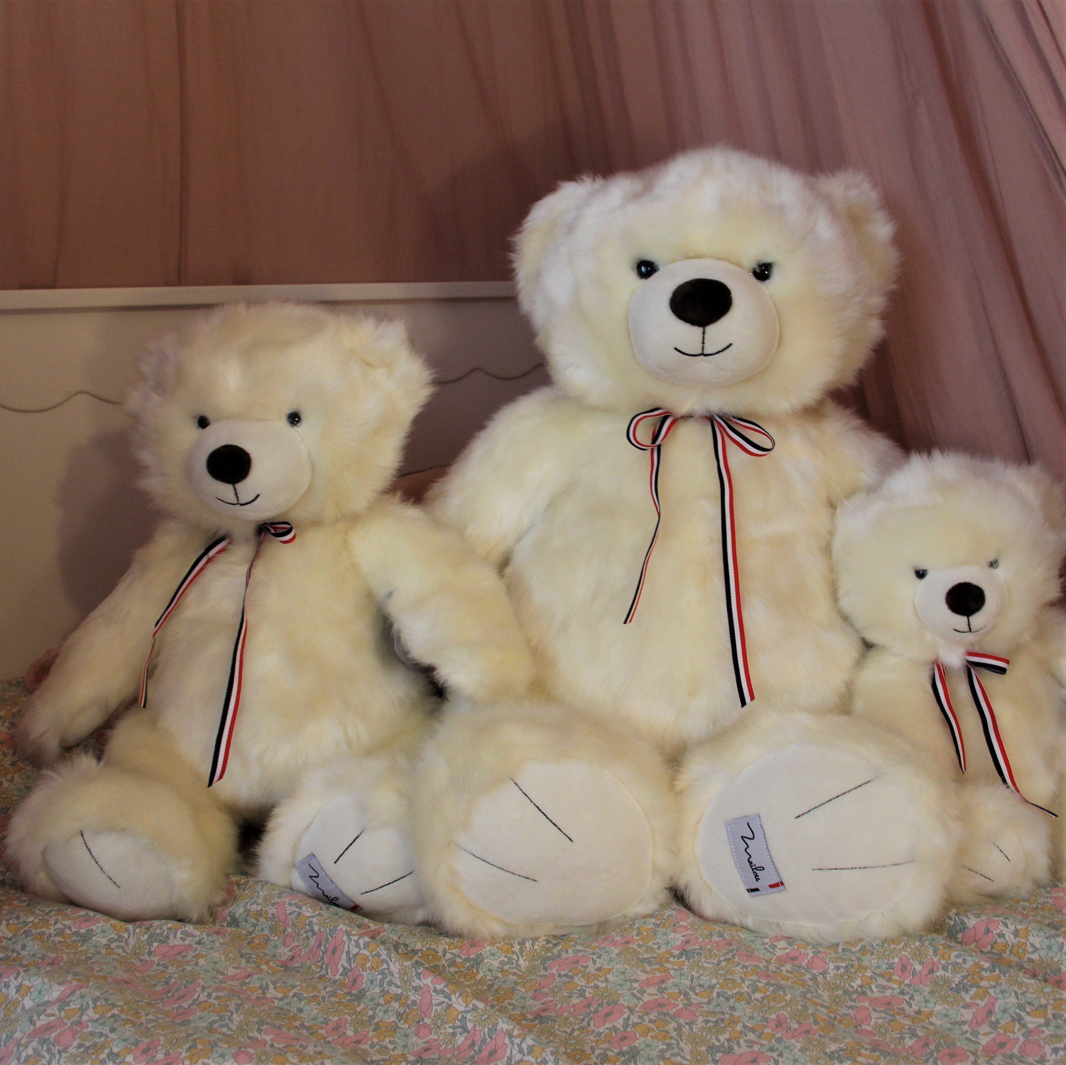 HISTOIRES D'OURS