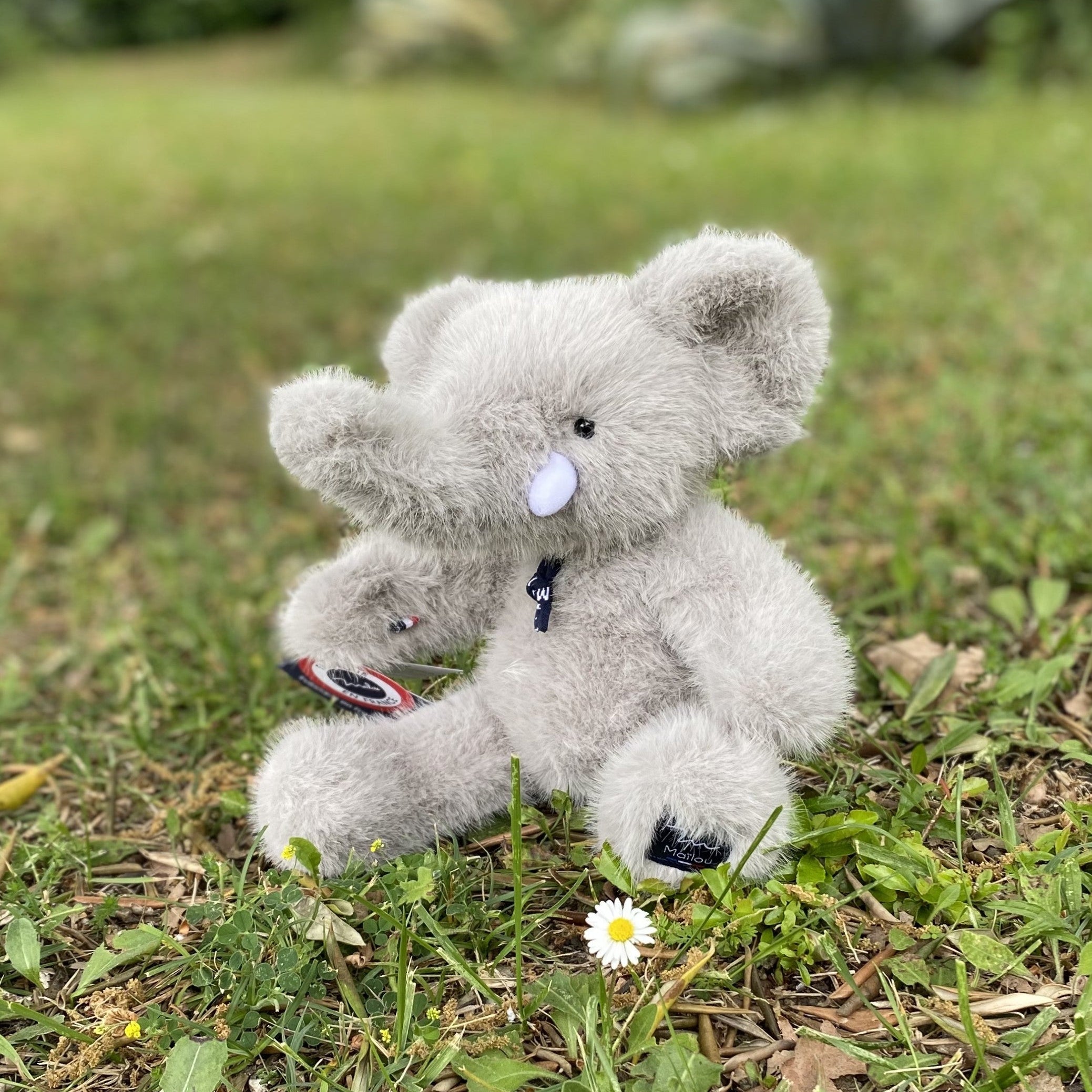 Sowen the elephant