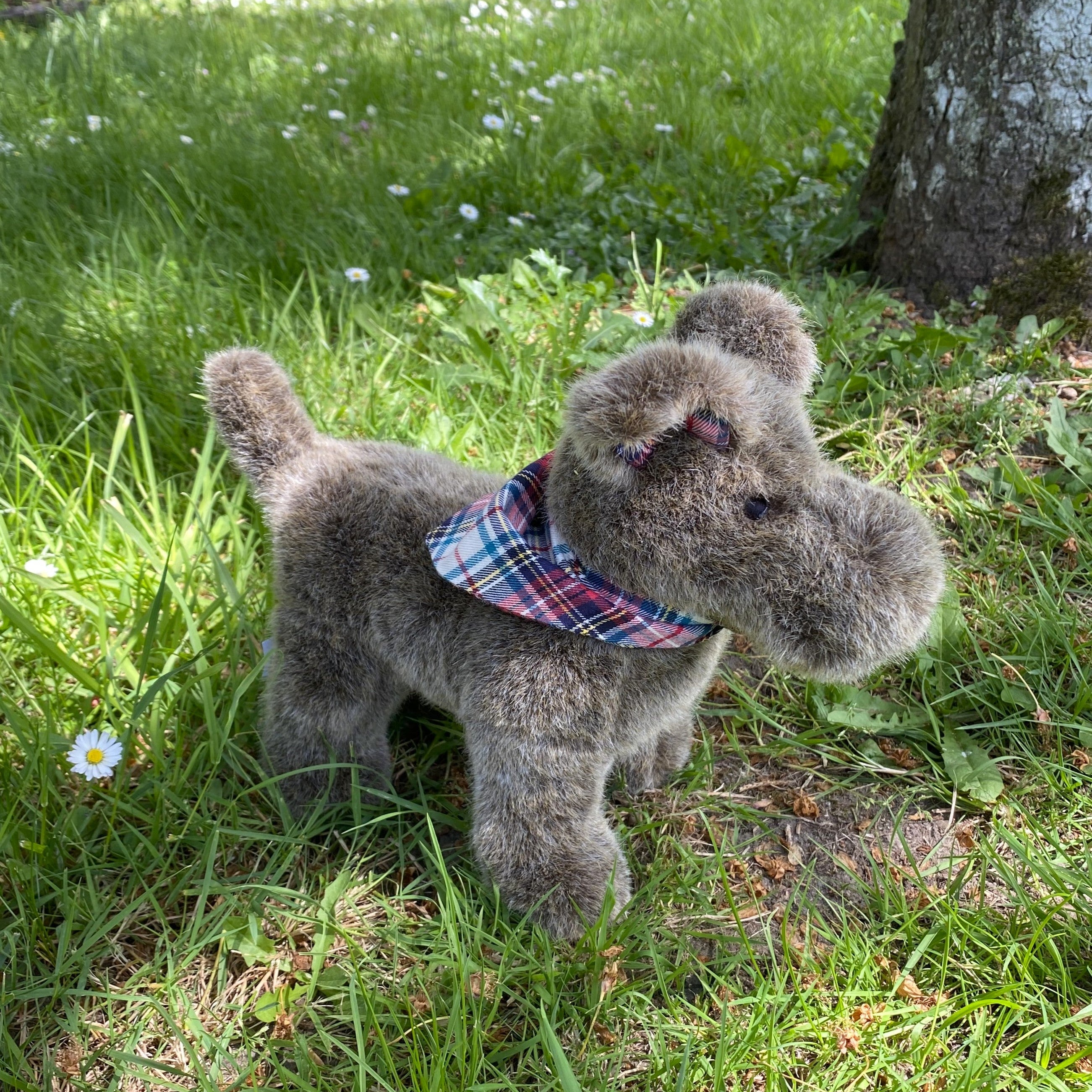 CHIEN PELUCHE MADE IN FRANCE PAMPLEMOUSSE