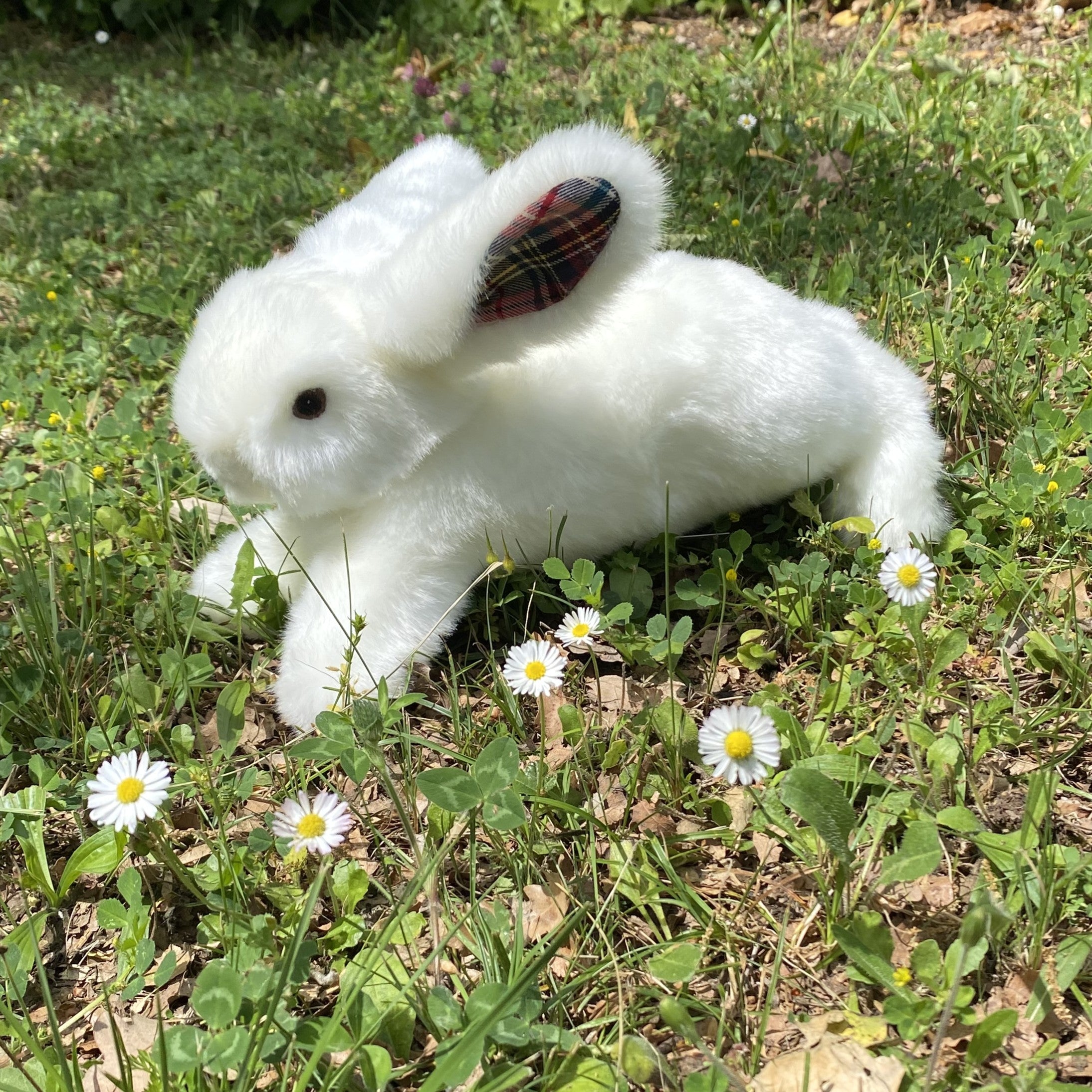 PELUCHE LAPIN MADE IN FRANCE PAMPLEMOUSSE