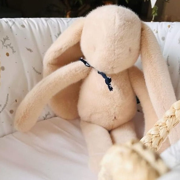 Lapin Méloé