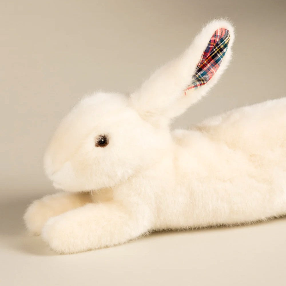 Martin le Lapin