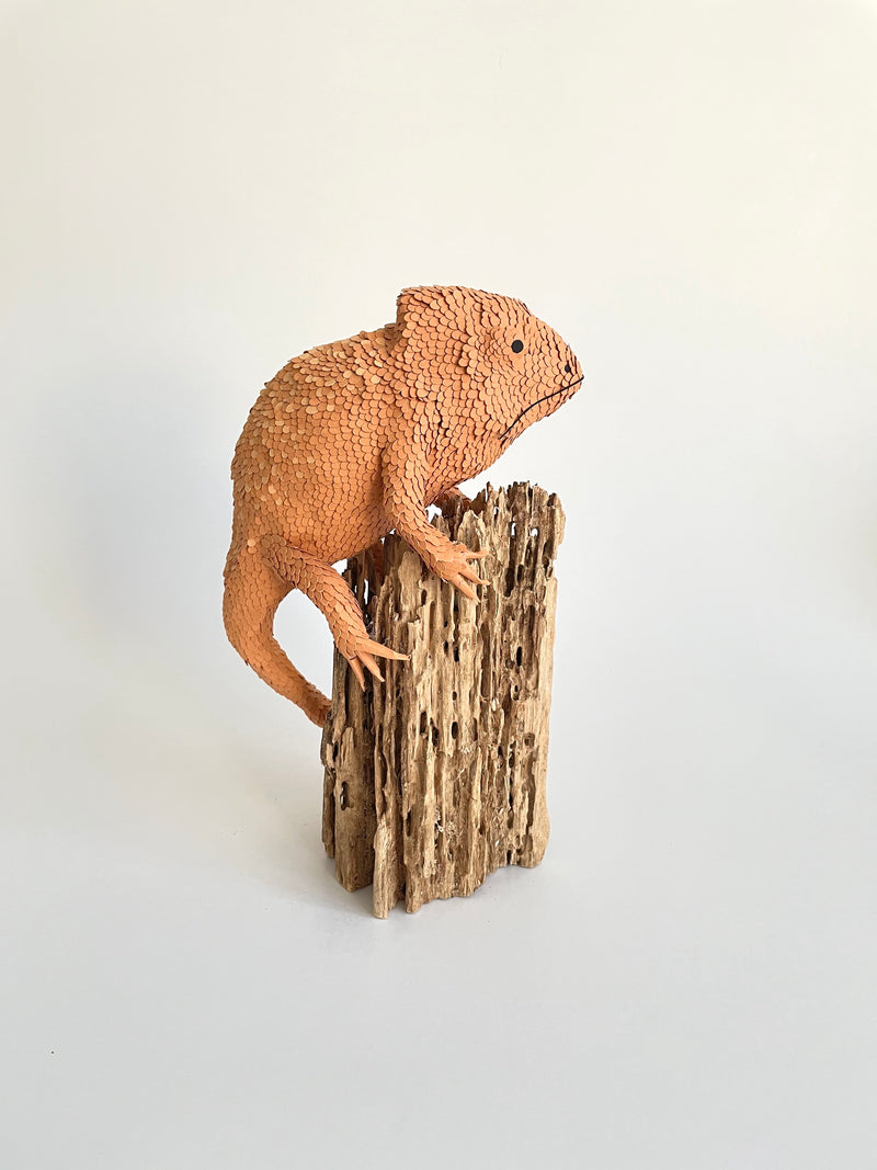 Sculpture en papier Caméléon des sables Mélina VASSEREAU , 100% français et écoresponsable HISTOIRES FRANCAISES