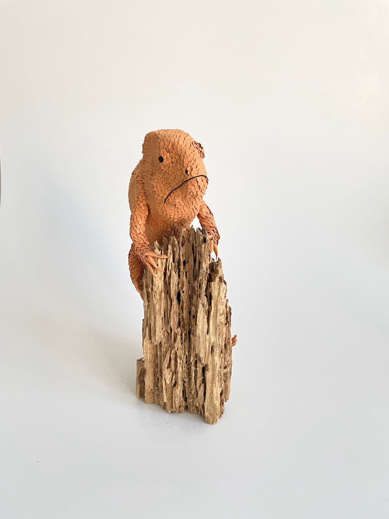 Sculpture en papier Caméléon des sables Mélina VASSEREAU , 100% français et écoresponsable HISTOIRES FRANCAISES
