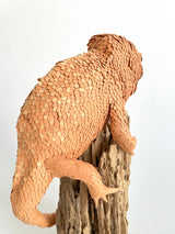 Sculpture en papier Caméléon des sables Mélina VASSEREAU , 100% français et écoresponsable HISTOIRES FRANCAISES